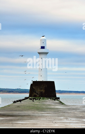 Detail von der Küste und Nordsee vom South Aberdeen Küstenweg in der Winterzeit Stockfoto