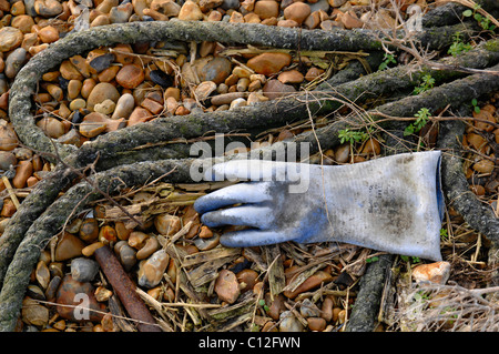 Wurf am Strand Stockfoto