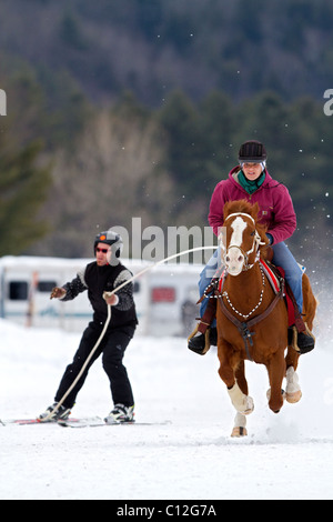 Pferd und Reiter im Schnee beim Schleppen einen Skifahrer während eines Ski-Joring, Skijöring Rennen in New Hampshire, New England ausgeführt. Stockfoto