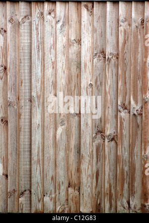 Zaun aus Holz Kratzer im Garten Stockfoto