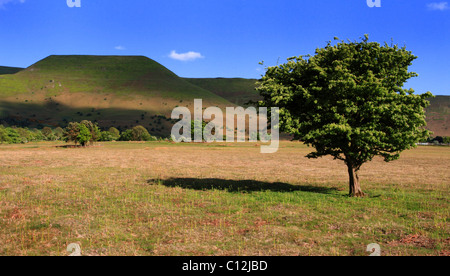 Y-Das betrachten von Rhos Fach üblich, in der Nähe von Talgarth, die Black Mountains, Brecon Beacons National Park, Mid Wales, Europa Stockfoto