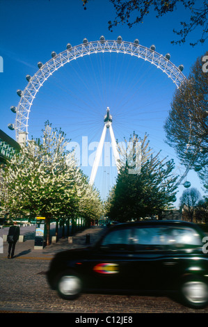 Ein schwarzer Taxi übergibt Blüte Jubilee Gardens mit dem London Eye im Hintergrund Stockfoto