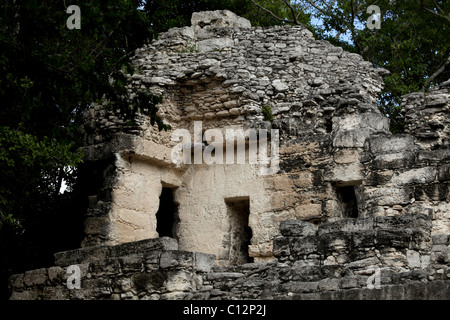 MEXIKANISCHE RUINEN VON CALAKMUL, YUCATAN, MEXIKO Stockfoto