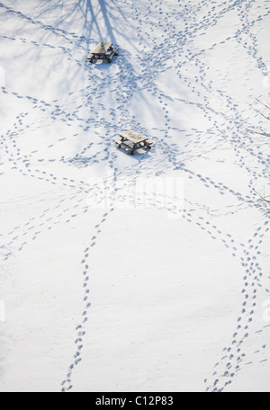 USA, New York State, Croton on Hudson, Fußspuren im Schnee Stockfoto