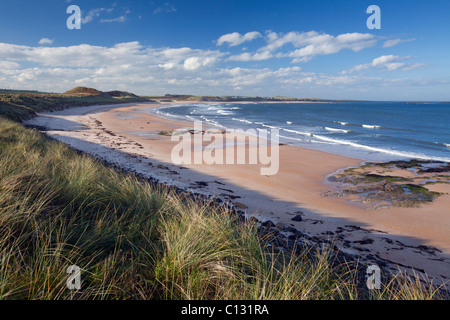 Embleton Bay, Blick über den Strand von Süden, Herbst, Northumberland, England Stockfoto