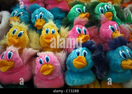 Enten-Spielzeug in verschiedenen Farben Stockfoto