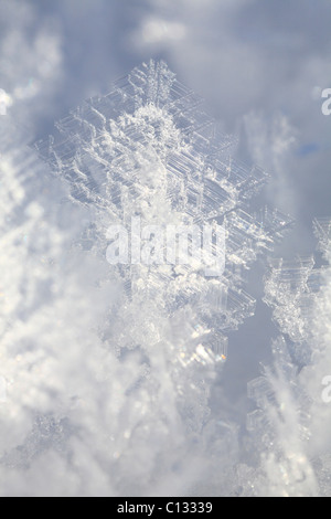 Eiskristalle wachsen auf einer Schneefläche. Powys, Wales. Dezember. Stockfoto