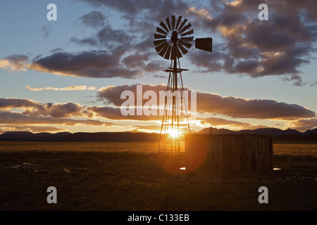 Windmühle Silhouette bei Sonnenuntergang, Conway District, Provinz Eastern Cape, Südafrika Stockfoto