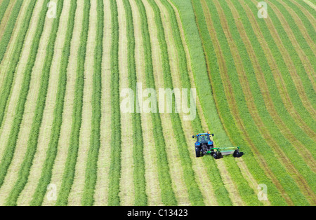 Traktor mäht Rasen im Feld für Heu oder Silage, Aberdeenshire, Schottland. Stockfoto