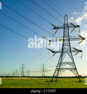 Elektrizität Masten, Schottland, UK. Stockfoto