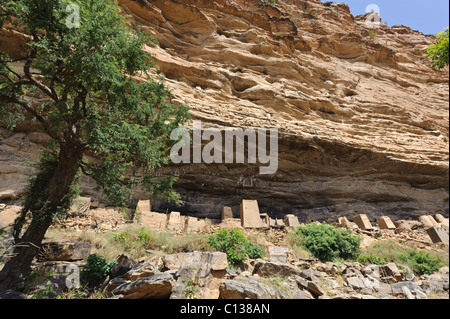 Tellem Häuser und Getreidespeicher als das Haus des Dorfes lokalen Hogon Nombori verwendet. Zahlt Dogon, Mali Stockfoto