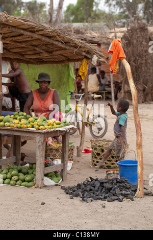 Frau verkauft Obst und Kohle. Kochen Kraftstoff zum Verkauf. Marktstand am Straßenrand. Ifty Markt. Süd-Madagaskar. Stockfoto