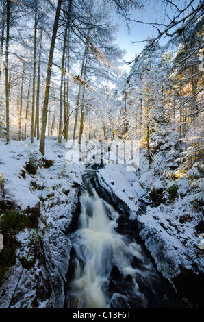 Die Kennick brennen, Laurieston Galloway im Tiefschnee, Forestry Commission Stockfoto