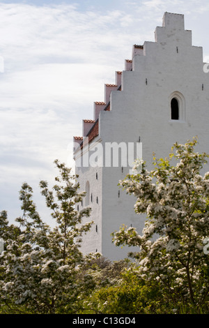 Kirche zu begraben und Frühlingsblumen. Die berühmte Kirche teilweise vergraben im Sand Düne in der Nähe von Skagen. Stockfoto
