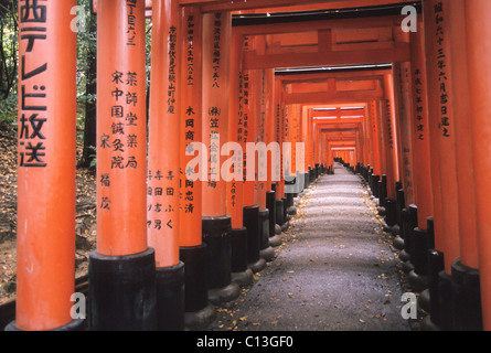 Elk148-1630 Japan, Kyoto, Fushimi Inari-Taisha-Shinto-Schrein Torri Gehweg bis Mt Inari Stockfoto