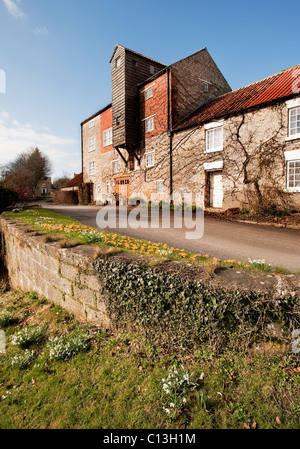 Frühlingsblumen vor Vivers Mill, Pickering Stockfoto