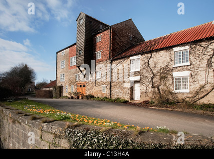 Frühlingsblumen vor Vivers Mill, Pickering Stockfoto