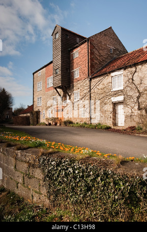 Frühlingsblumen vor Vivers Mill, Pickering Stockfoto