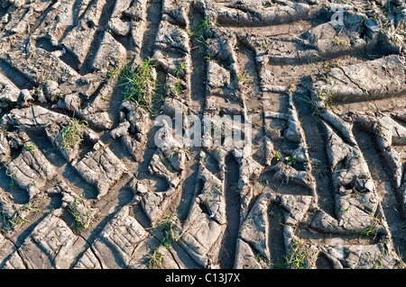 Traktor-Reifenspuren im Schlamm - Frankreich. Stockfoto