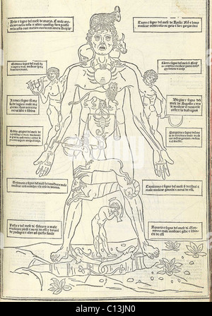 Tierkreis-Mann aus illustrieren, wie der menschliche Körper bezieht sich auf die Tierkreiszeichen. Die alten medizinischen Theorie entschieden, dass die vier Körpersäfte durch die Position der Sterne, Astrologie Gesundheitsversorgung verlinken beeinflusst wurden. Von Johannes de Ketham FASCICULUS MEDICINAE (Venedig, 1495). Stockfoto