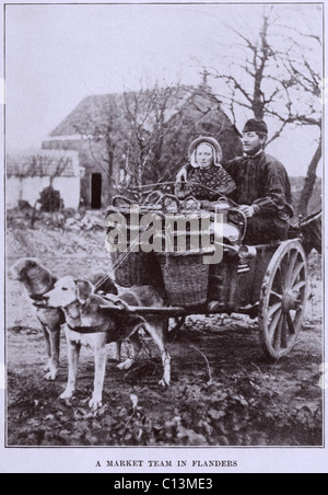 EIN MARKT-TEAM IN FLANDERN. Zwei Hunde zu einen geladenen Wagen mit zwei Erwachsenen Passagieren zu ziehen. Ca. 1900-1910. belgiumlandofart00grif 0041 Stockfoto