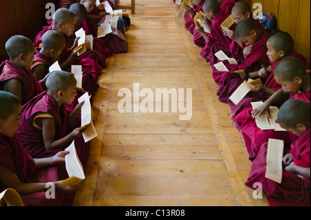 Mönche buddhistische Schriften in der Phyang Gompa, Ladakh, Indien zu studieren Stockfoto