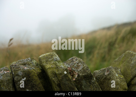 Northumberland-Trockenwand, nebeliger Hintergrund Stockfoto