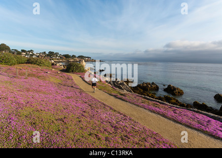 Monterey Bay Coastal Trail entlang der Monterey Bay in Pacific Grove auf Monetery Halbinsel, California. Perkins Park. Stockfoto