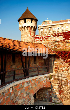 Budaer Burg Wände & Befestigungsanlagen, Budapest, Ungarn Stockfoto