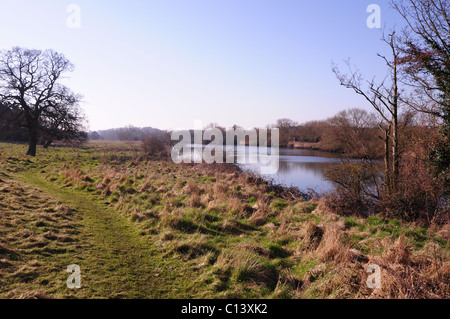 Der Fluß Yare in Postwick, östlich von Norwich, Norfollk. Stockfoto