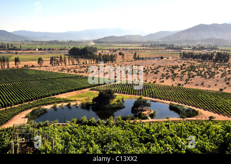 Weingut Casablanca Valley Chile Südamerika Stockfoto