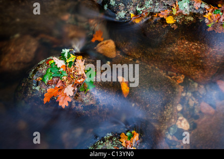 Wasser fließt zwischen und ewig rockt und Herbstlaub Stockfoto