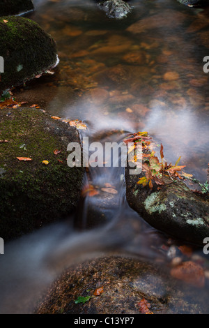Wasser fließt zwischen Felsen und Herbstlaub Stockfoto