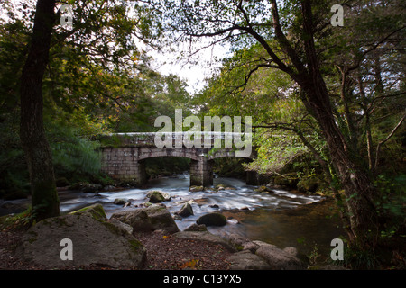 Alte Steinbrücke überquert einen Fluss auf Dartmoor. Stockfoto