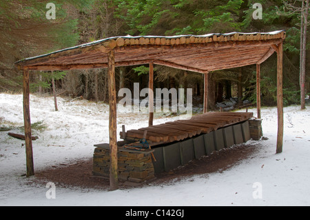 Riesen-Xylophon.  Eine Skulptur im Dunnet Wald, in der Nähe von Castletown, Caithness, Schottland, UK Stockfoto