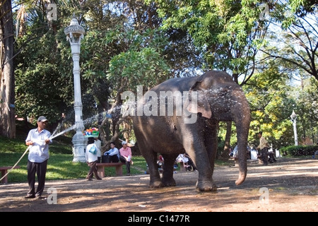 Ein asiatischer Mann wäscht eine große 3-Tonnen-Elefanten namens Sombo auf einem Stadt-Bürgersteig in Phnom Penh, Kambodscha. Stockfoto