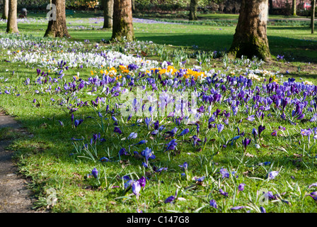 Haden Hill House und Park in Rowley Regis, Sandwell, West Midlands Stockfoto