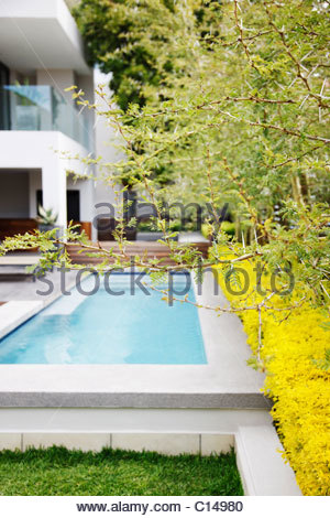 Moderner Garten mit Swimming Pool in australischen Herrenhaus Stockfoto