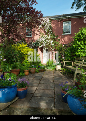 TERRASSE MIT CLEMATIS MONTANA RUBENS ÜBER COUNTRY COTTAGE TÜR SOMMER ENGLAND UK Stockfoto