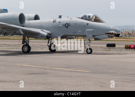 WARZENSCHWEIN KÄMPFER-BOMBER FLUGZEUG LONG ISLAND NEW YORK VEREINIGTE STAATEN VON AMERIKA Stockfoto