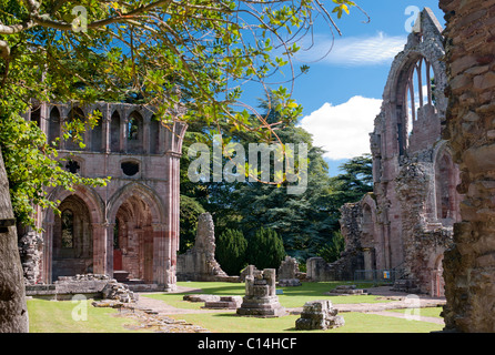 DRYBURGH ABBEY SCHOTTLAND VEREINIGTES KÖNIGREICH Stockfoto