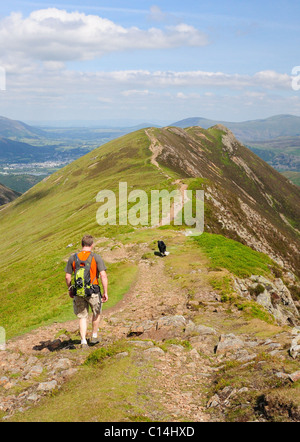 Walker auf Narbe Klippen mit Blick auf Causey Hecht im Sommer im englischen Lake District Stockfoto