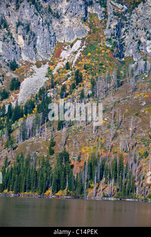 Teton Range Mountains, Ansichten von Jenny Lake, Mt. St. John, hängenden Canyon, Rockchuck Peak, Grand-Teton-Nationalpark, Wyoming, USA Stockfoto