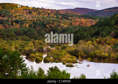 HERBST-LAUB-WALD LUFTBILD BALLON WOODSTOCK VERMONT USA Stockfoto