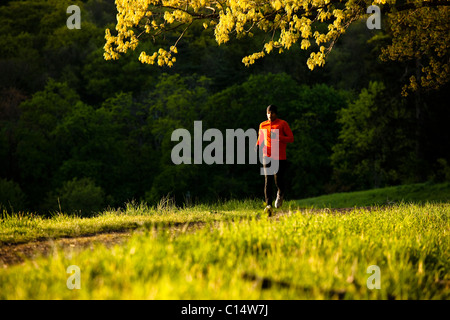 Ein Mann mit einem orangefarbenen t-Shirt verläuft ein Wanderweg im Rockefeller State Park in Sleepy Hollow, New York.