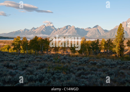 Ansichten von Jackson Lake Lodge, Herbstfarben, Berge, Moran, Grand Teton, Gletscherseen, Vistas, Grand-Teton-Nationalpark, Wyoming, USA Stockfoto