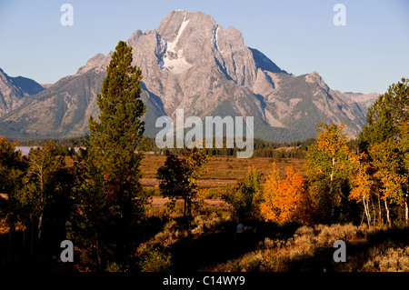 Ansichten von Jackson Lake Lodge, Herbstfarben, Berge, Moran, Grand Teton, Gletscherseen, Vistas, Grand-Teton-Nationalpark, Wyoming, USA Stockfoto