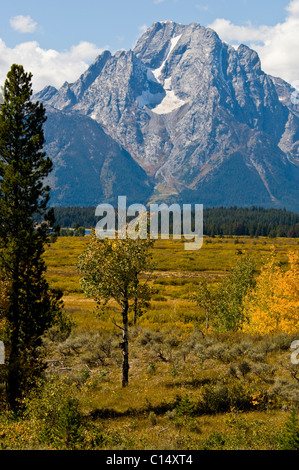 Ansichten von Jackson Lake Lodge, Herbstfarben, Berge, Moran, Grand Teton, Gletscherseen, Vistas, Grand-Teton-Nationalpark, Wyoming, USA Stockfoto