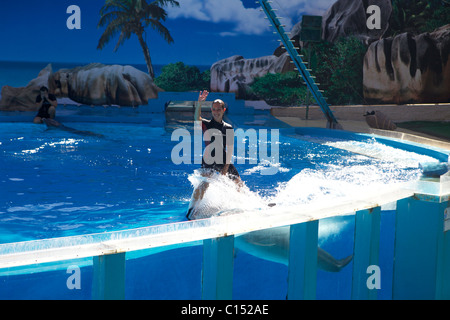 Zoo Marine in Albufeira Portugal-Delphin-show Stockfoto