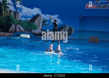 Zoo Marine in Albufeira Portugal-Delphin-show Stockfoto